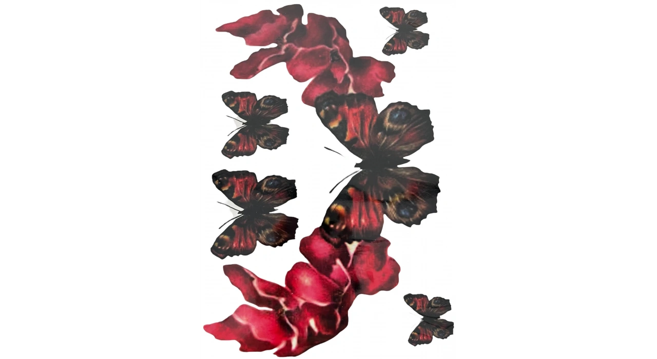 Karışık Renk Kelebek Figürlü Dövme Tattoo