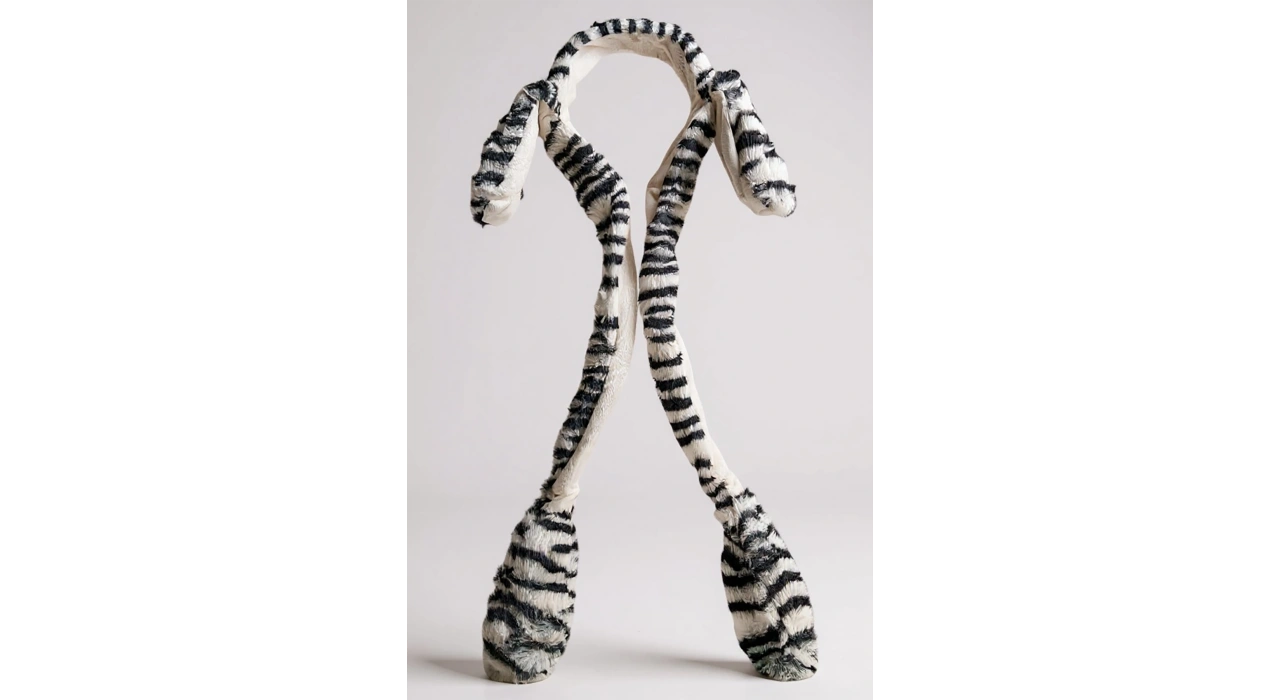 Siyah Ve Beyaz Renk Zebra Desenli Kulakları Oynayan Taç