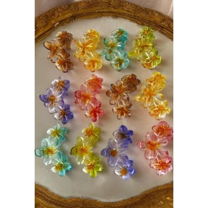 12li Karışık Renk Lotus Mandal Toka Set