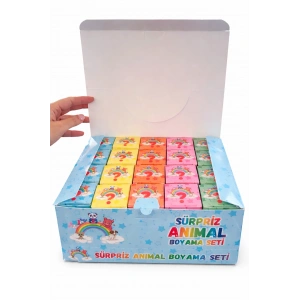 20li Karışık Figürlü Sürpriz Boyama Seti