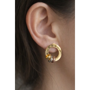 Altın Renk Çelik Küpe (Çift)