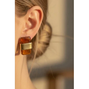 Altın Ve Kahve Renk Taş Detaylı Küpe (Çift)