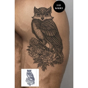 Baykuş Figürlü 12 Saat Sonra Kararan Geçici Mini Dövme Tattoo