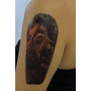 Geçici Aslan Figürlü Dövme Tattoo