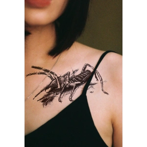 Geçici Çekirge Dövme Tattoo