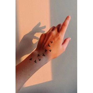 Geçici Karışık Kuş Mini Dövme Tattoo