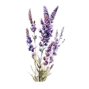 Geçici Lavanta Figürlü Dövme Tattoo