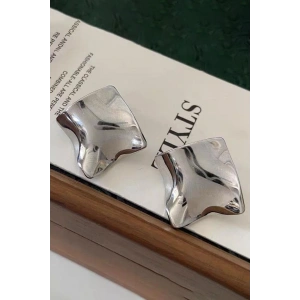 Gümüş Renk Çelik Küpe (Çift)