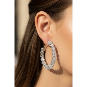 Gümüş Renk Taş Detaylı 14k Altın Kaplama Halka Küpe (Çift)