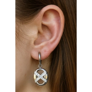 Gümüş Renk Taş Detaylı Çelik Küpe (Çift)