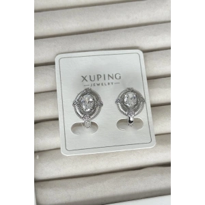 Gümüş Renk Taş Detaylı Çelik Xuping VIP Küpe