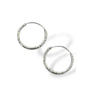 Gümüş Renk Taş Detaylı Halka Küpe (Çift)