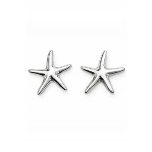 Gümüş Renk Yıldız Figürlü Küpe (Çift)