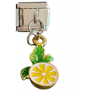 Gümüş Ve Altın Renk Limon Figürlü  Çelik Nomination Charm (Tek)