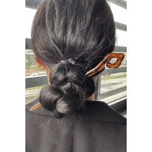 Kahverengi Topuz Kalemi