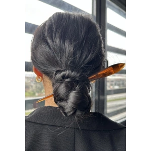 Kahverengi Topuz Kalemi