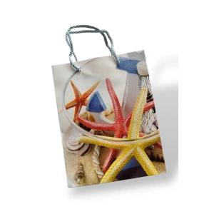 Karışık Renk Deniz Yıldızı Figürlü Karton Çanta