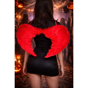 Kırmızı Renk Melek Kanadı