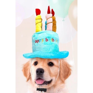 Mavi Renk Mum Figürlü Happy Birthday Yazılı Kedi Köpek Şapkası