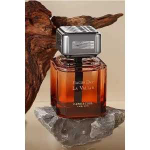 Yeşil Çay Esintili Çubuklu Araba Kokusu