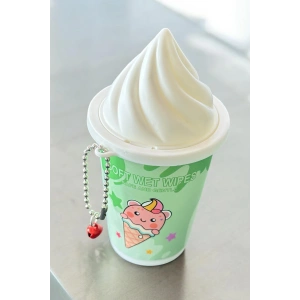 Yeşil Renk Dondurma Figürlü Anahtarlık Detaylı Kutulu Islak Mendil