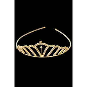 Zirkon Taşlı Gelin/Kına/Nişan/Söz Tasarım Taç