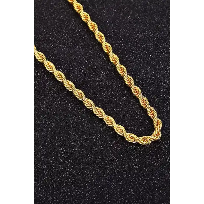 Altın Renk Erkek Burgu Detaylı Zincir Çelik Kolye (50cm)