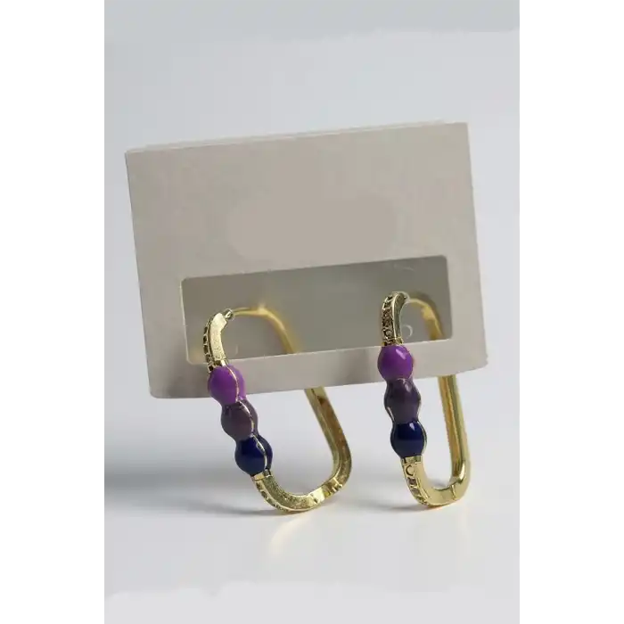 Altın Renk Taş Detaylı Küpe (Çift)