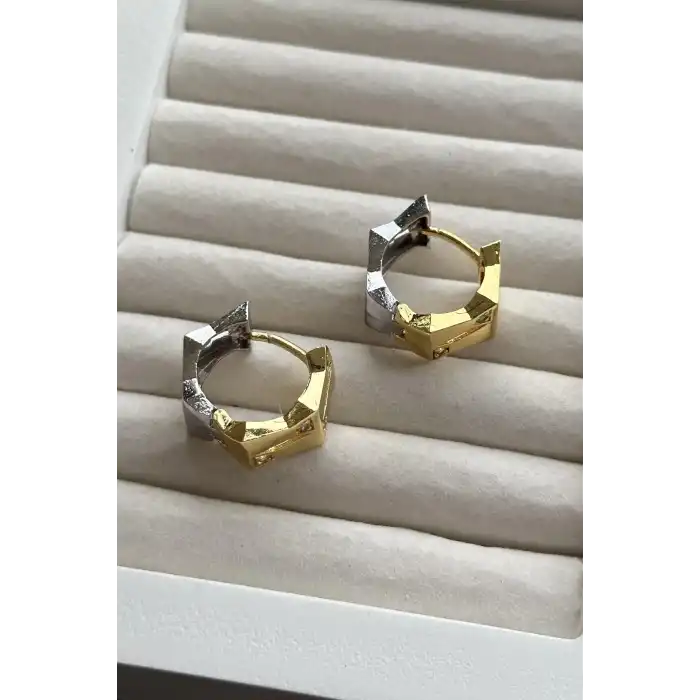 Altın Ve Gümüş Renk Taş Detaylı Halka Küpe (Çift)