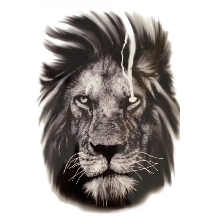Geçici Aslan Figürlü Dövme Tattoo
