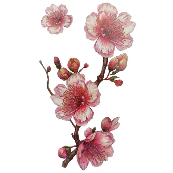 Geçici Çiçek Figürlü Dövme Tatto