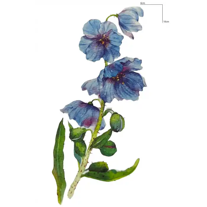 Geçici Çiçek Figürlü Mini Dövme Tattoo