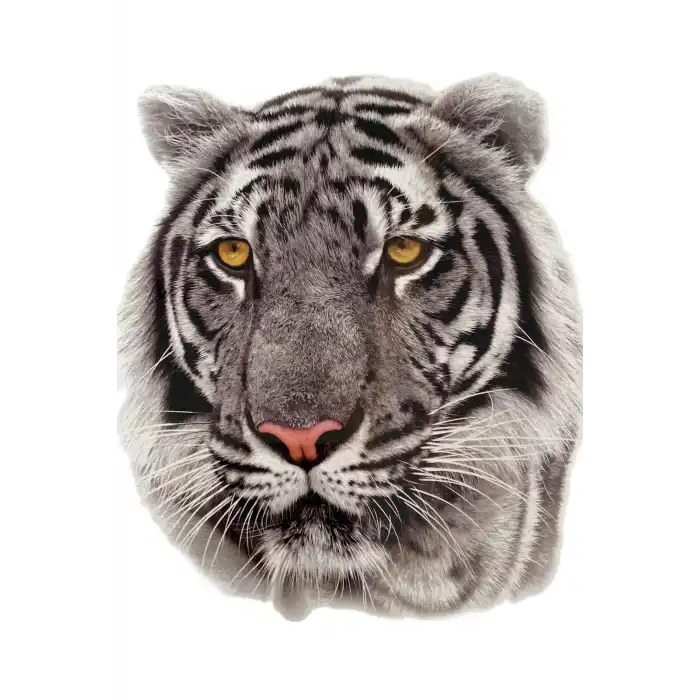 Geçici Kaplan Figürlü Dövme Tattoo