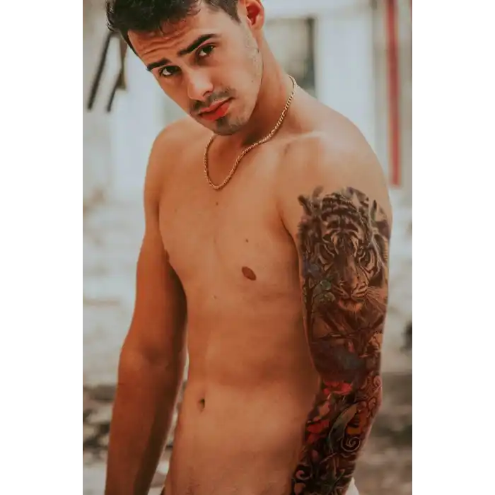 Geçici Kaplan Kol Dövme Tattoo