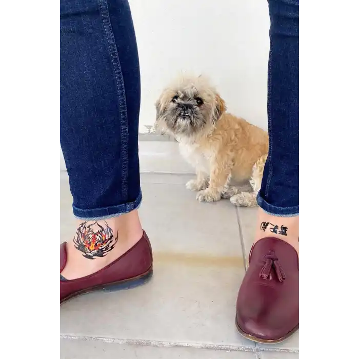 Geçici Kaplan ve Aslan Dövme Tattoo