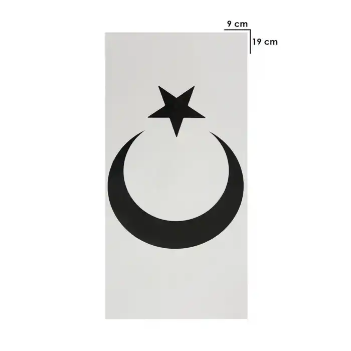Geçici Türk Bayrağı - Ayyıldız Dövme Tattoo