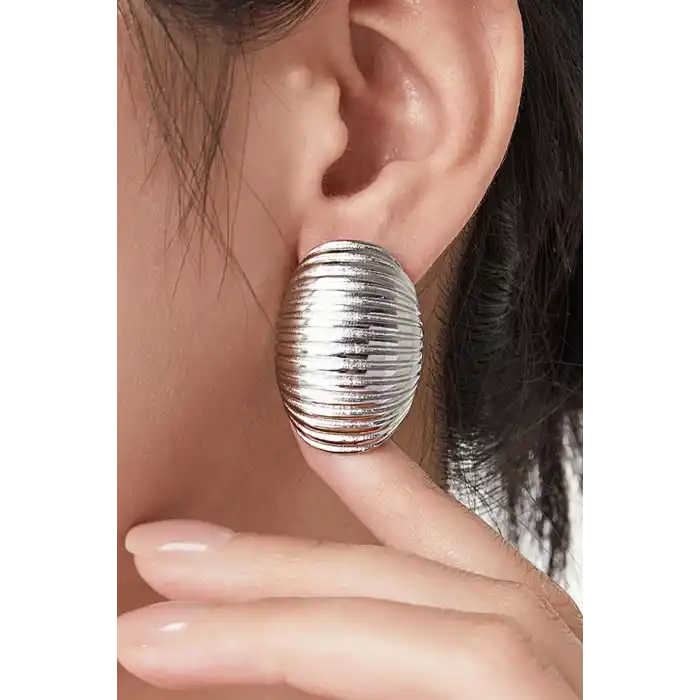 Gümüş Renk Çelik Küpe (Çift)