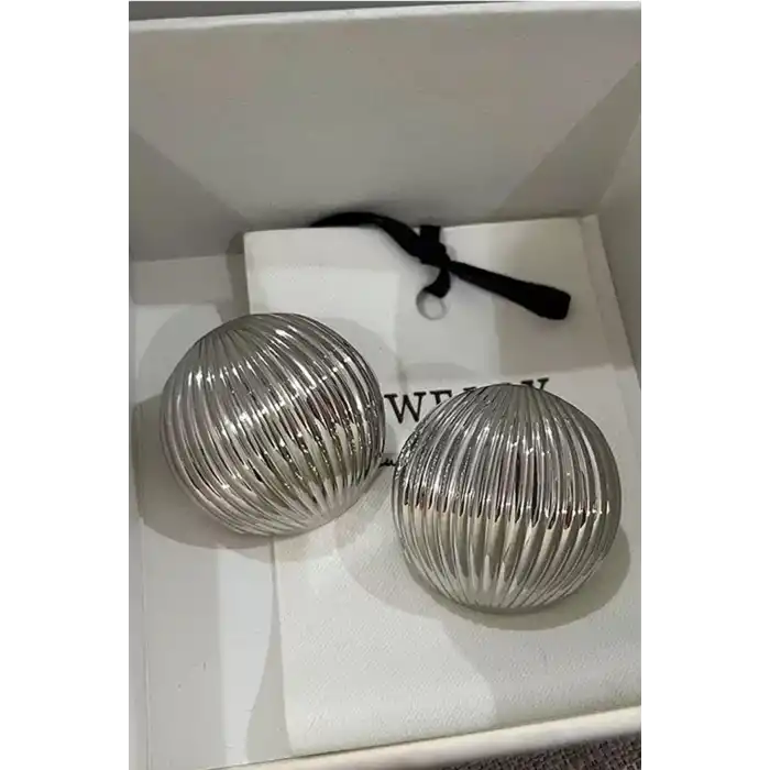 Gümüş Renk Metal Küpe (Çift)