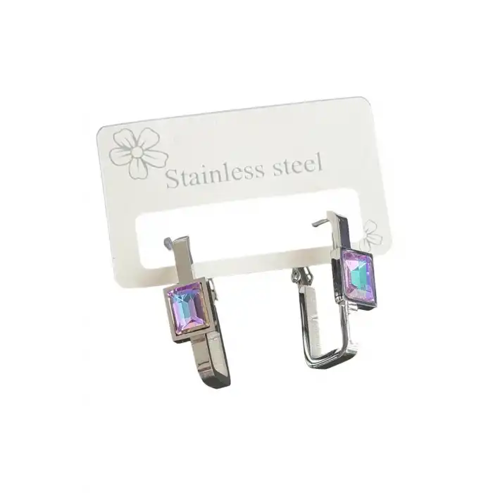 Gümüş Renk Taş Detaylı Çelik Küpe (Çift)