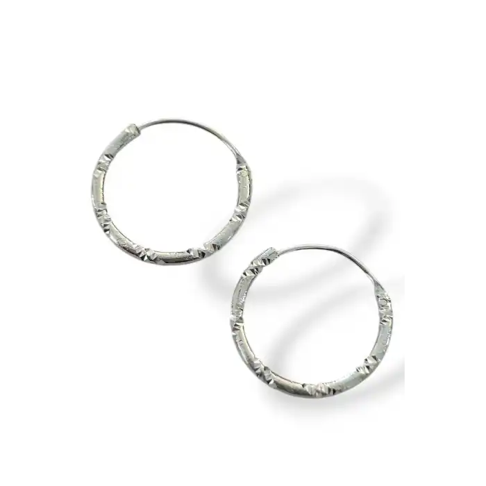 Gümüş Renk Taş Detaylı Halka Küpe (Çift)