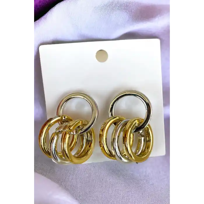 Gümüş Ve Altın Renk Halka Figürlü Sallantılı Küpe (Çift)