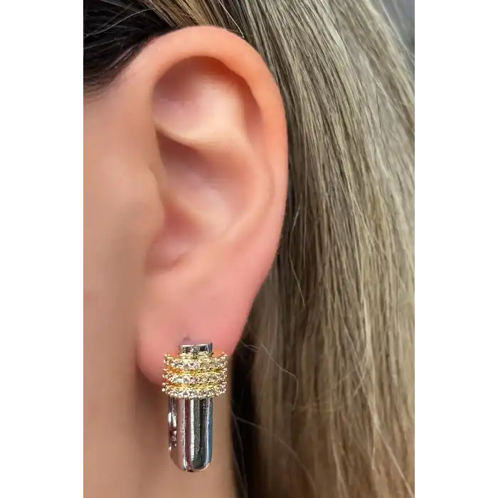 Gümüş Ve Altın Renk Taş Detaylı Küpe (Çift)