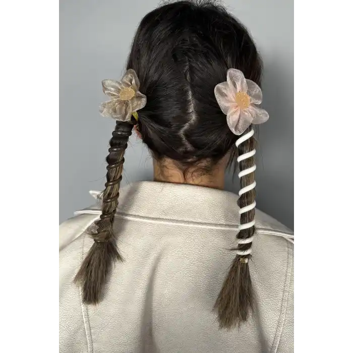 Karışık Renk 2´li Taş Detaylı Yaylı Spiral Toka