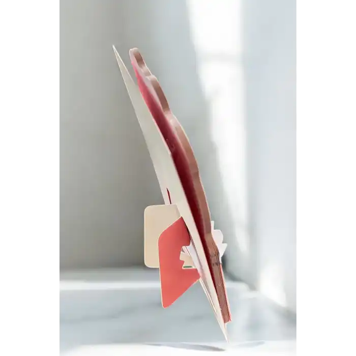 Karışık Renk Panda Figürlü Yapışkanlı Not Kağıdı