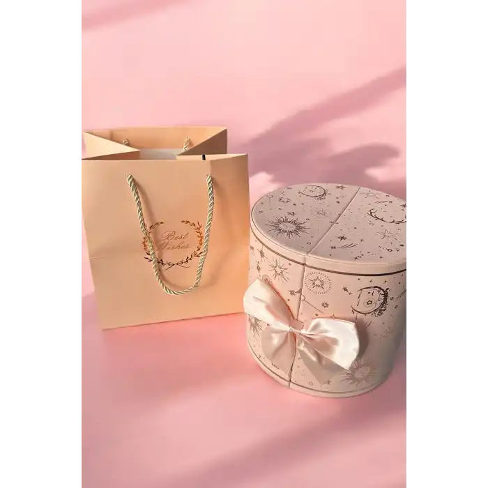 Pembe Renk Karışık Figürlü Gül Detaylı Karton Çanta Hediyeli Hediye Kutusu