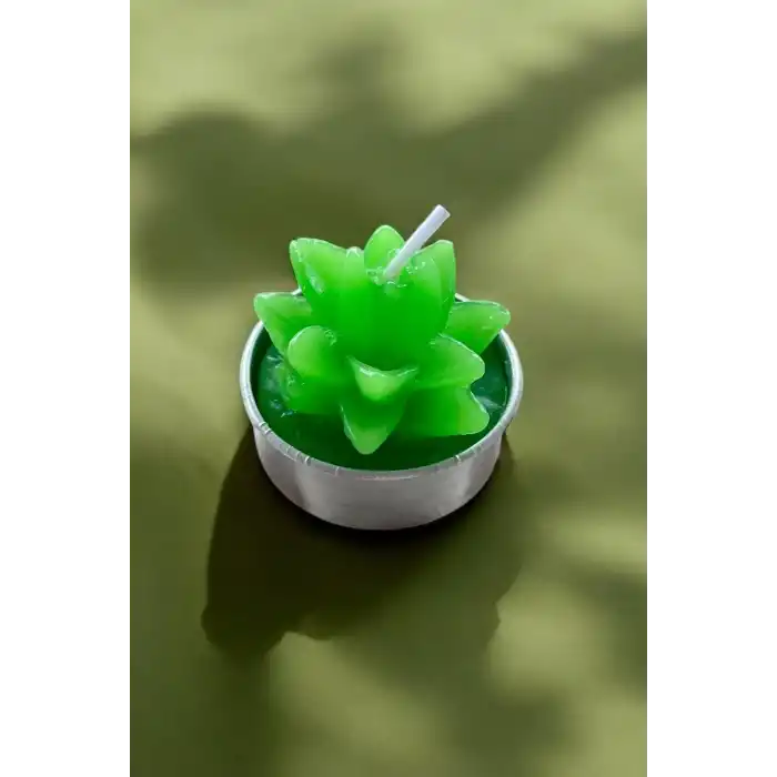 Yeşil Renk Sukulent Figürlü Mum