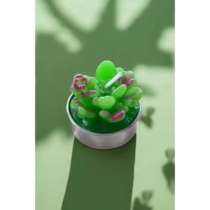 Yeşil Renk Sukulent Figürlü Mum