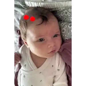 2li Kırmızı Renk Ponponlu Saçsız Bebek Tokası