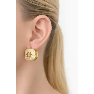 Altın Renk 14K Altın Kaplama Kuzey Yıldızı Detaylı Küpe (Çift)