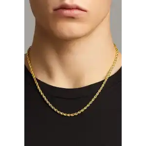 Altın Renk Erkek Burgu Detaylı Zincir Çelik Kolye (50cm)